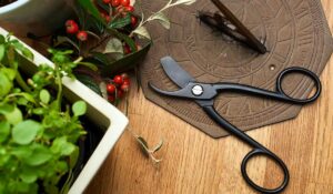 black garden pruners