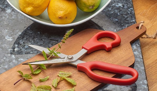 Lightweight Kitchen Scissors