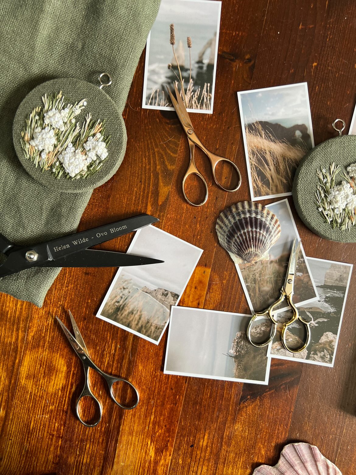 Collection of scissors