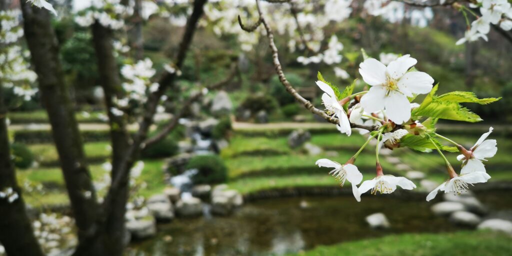 Spring time garden image, photo credit Chantal Garnier