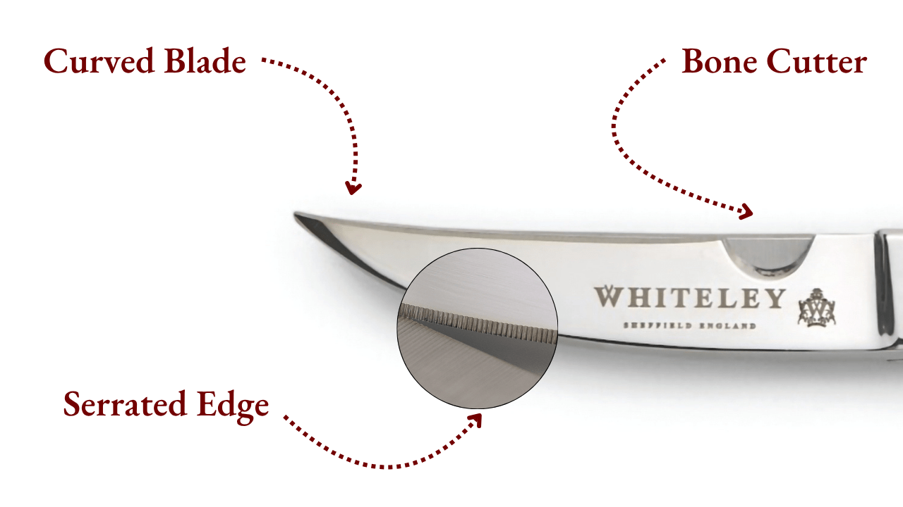 Graphic showing parts of a kitchen scissor