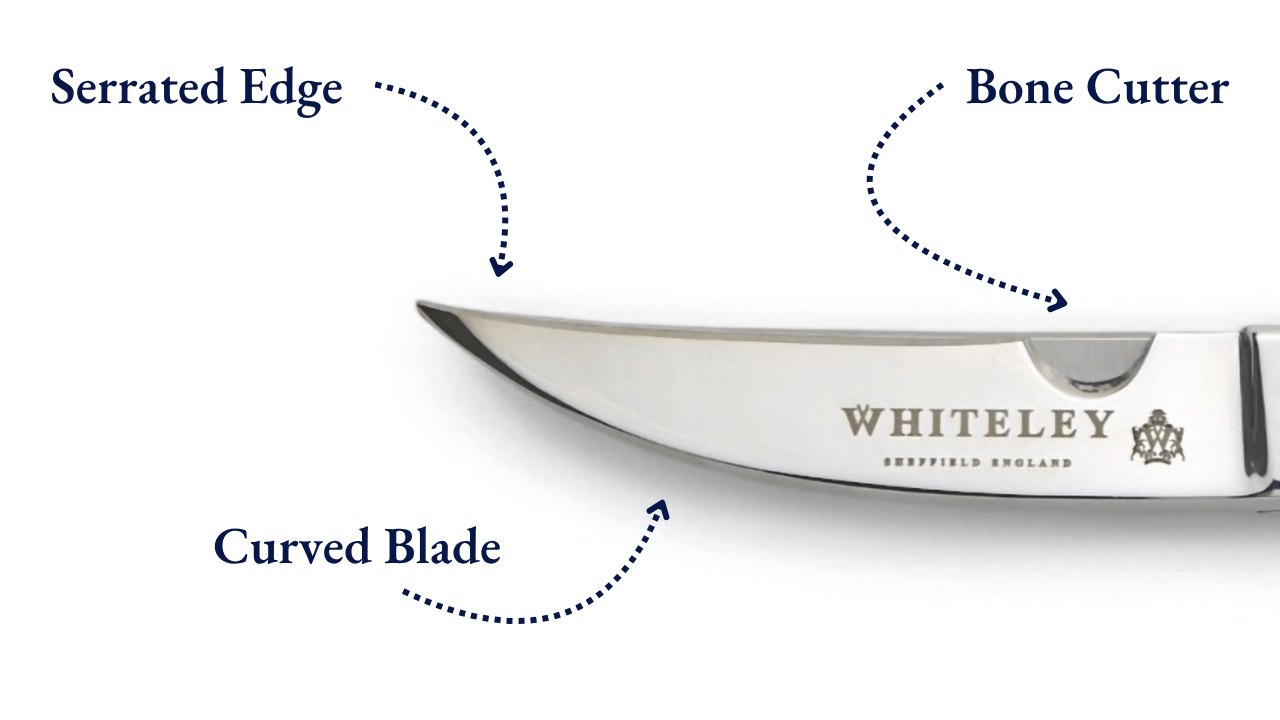 Anatomy of a kitchen scissor graphics-2